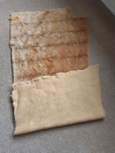 Photo of free brown fur fabric (Gamston NG2) #2