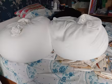 Photo of free Bean bag filling (Norton) #1