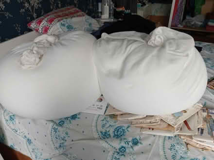 Photo of free Bean bag filling (Norton) #1
