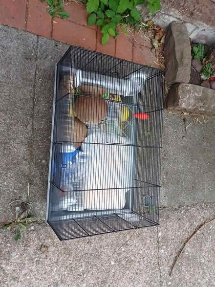 Photo of free Dwarf hamster cage (TF9) #1