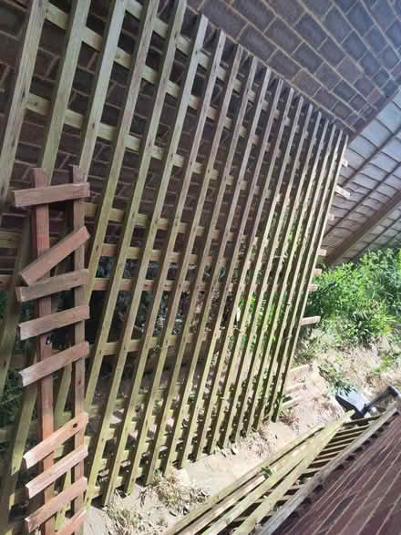 Photo of free Old garden trellis (Bexhill old town, TN40) #1