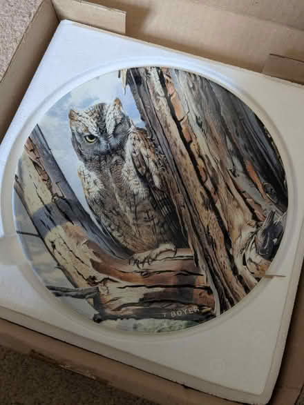 Photo of free Decorative owl plates (Caversham RG4) #3