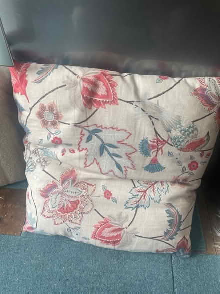Photo of free Cushion (Blacklands TN34) #1