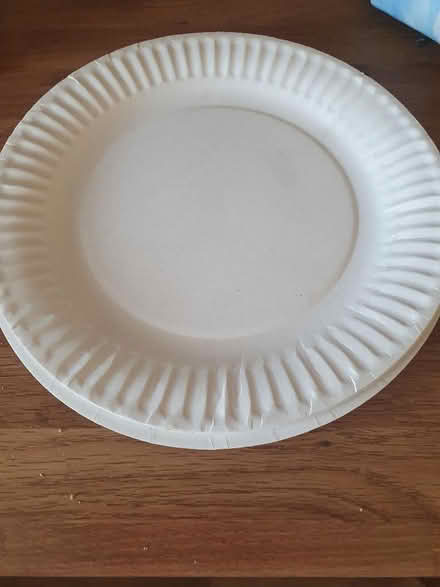 Photo of Paper plates/glasses for bbq (Enfield EN2) #1
