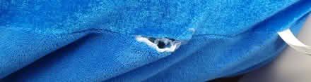 Photo of free Large Great Wolf Lodge Pillow (Bellevue-Redmond) #3