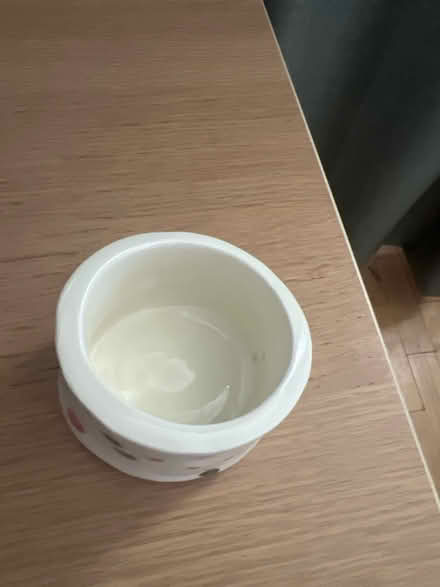 Photo of free Snack bowl (E8 3XR) #2