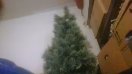 Photo of free 4 feet christmas tree (BA2) #3