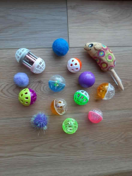 Photo of free Cat / kitten toys (Reading, RG30) #1