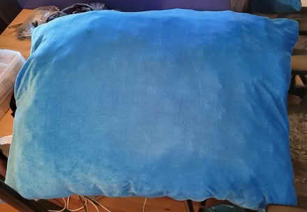 Photo of free Large Great Wolf Lodge Pillow (Bellevue-Redmond) #2