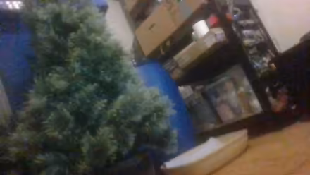 Photo of free 4 feet christmas tree (BA2) #2