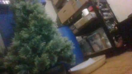 Photo of free 4 feet christmas tree (BA2) #2