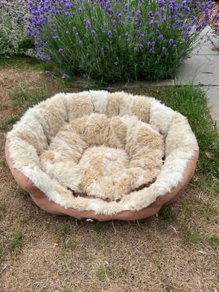 Photo of free Well used dog bed (Hitchin Herts) #1