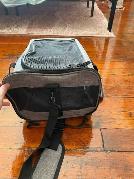 Photo of free Small cat carrier (dtla) #3