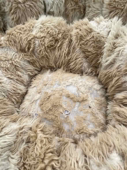 Photo of free Well used dog bed (Hitchin Herts) #2