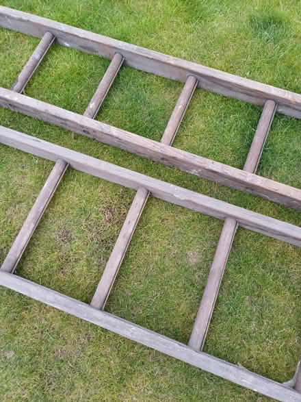 Photo of free Extension Ladder wooden (Dronfield, S18) #1