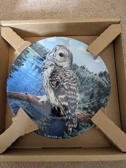 Photo of free Decorative owl plates (Caversham RG4) #2