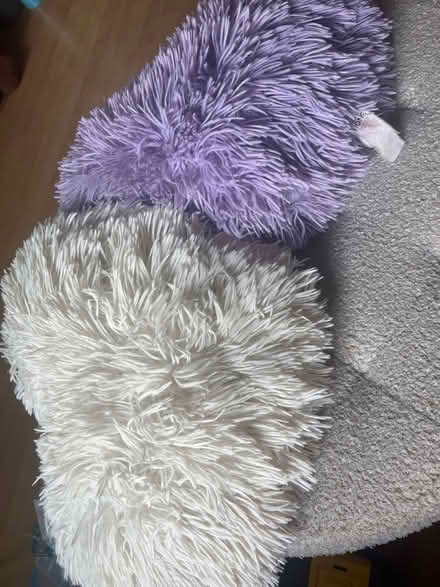 Photo of free 4 Heart cushions (Ash) #2