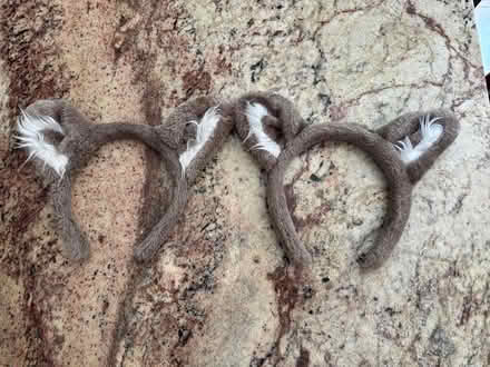 Photo of free wolf ear headbands (Erin Mills&QEW) #1