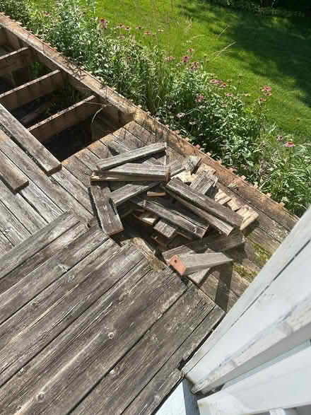 Photo of free Cedar Wood (Perkasie) #1