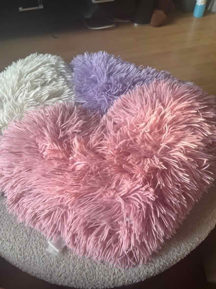 Photo of free 4 Heart cushions (Ash) #1