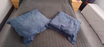 Photo of free 2 x large blue cushions (Walkley, Sheffield s6) #1