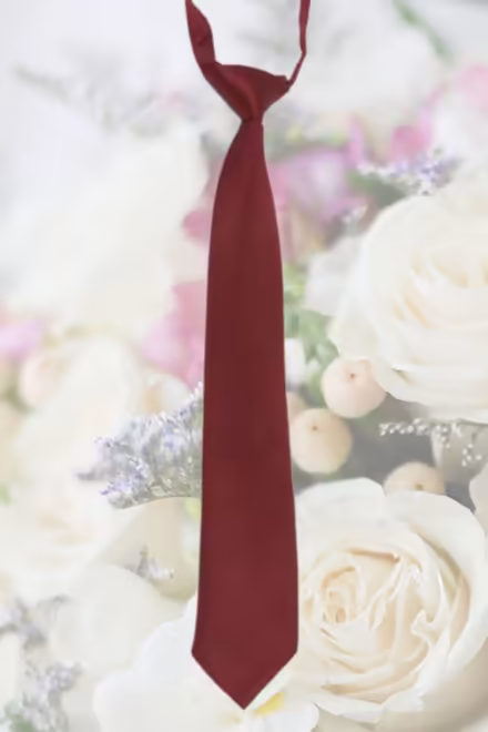 Photo of Tie (B6) #2