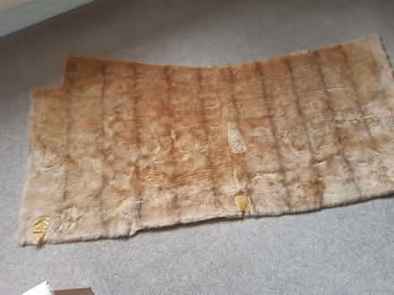 Photo of free brown fur fabric (Gamston NG2) #1