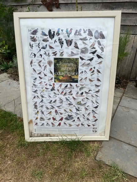 Photo of free Large poster frame (Hitchin Herts) #1