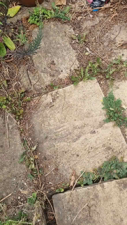 Photo of free Paving slabs (Letchworth Garden City) #1