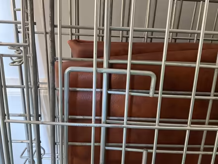 Photo of free Metal Dog Crate (Bohemia TN37) #2