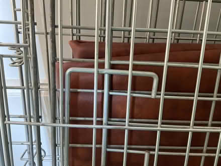 Photo of free Metal Dog Crate (Bohemia TN37) #2