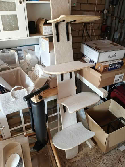 Photo of free Cat climbing tree (Winchmore Hill N21) #1