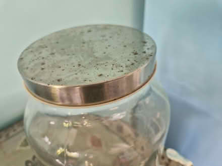 Photo of free Glass drinks dispenser (Buxted TN22) #1