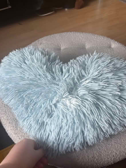 Photo of free 4 Heart cushions (Ash) #3
