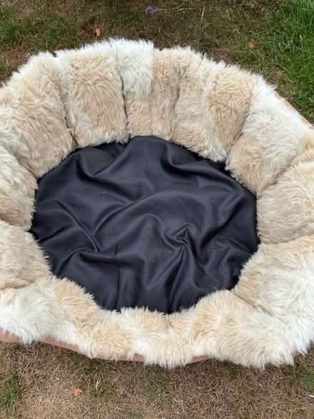 Photo of free Well used dog bed (Hitchin Herts) #3