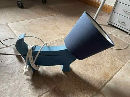 Photo of free Two lamps - dog and planets (Drupe Farm EX10) #2