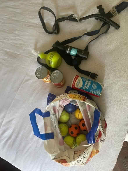 Photo of free Dog goodies (Anerley) #1
