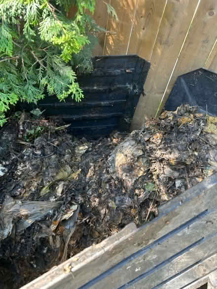 Photo of Compost bin (Meadowvale area) #1