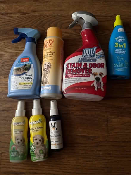 Photo of free Puppy/Dog Stuff (Clason Point Bronx NY) #1