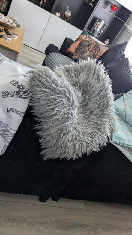 Photo of free Bedding (Lime Gate OL8) #1