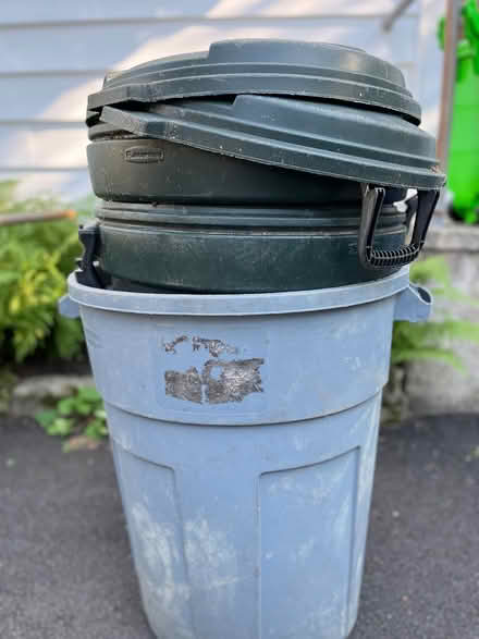 Photo of free 3 barrels with lids (Near Medford Square) #1