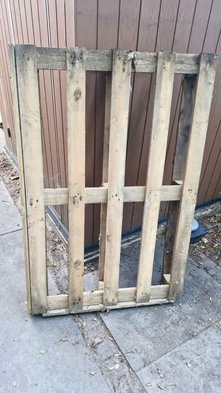 Photo of free Pallets (Oxhey Hall WD18) #1