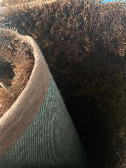 Photo of free Rugs (Caterham on the Hill CR8) #2