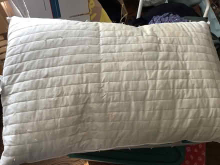 Photo of free 2 Goose Feather Pillows (Palos Park) #4