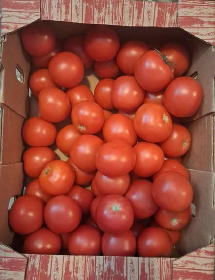 Photo of free food (Midtown) #2