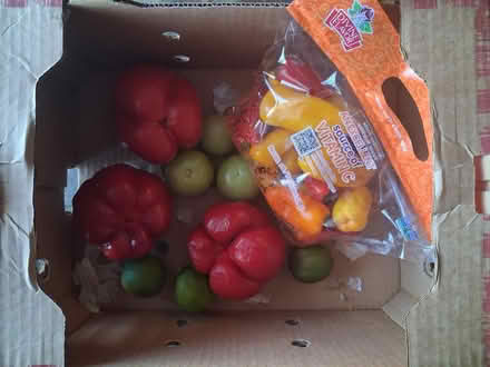Photo of free food (Midtown) #1