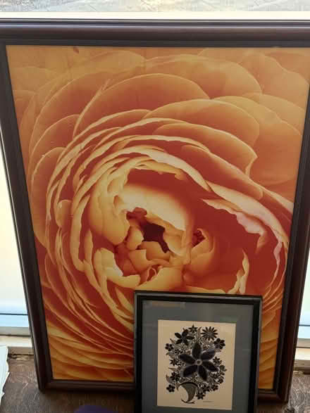 Photo of free Flower art (West Hollywood) #1