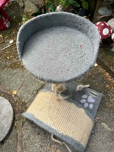 Photo of free Cat scratching post (Upton CH2) #1