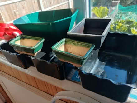 Photo of free Bonsai pots (Penkridge ST19 5) #1