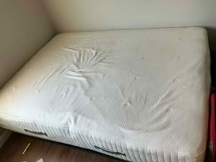 Photo of free Mattress- Organic Avocado (Kiely and Homestead) #1